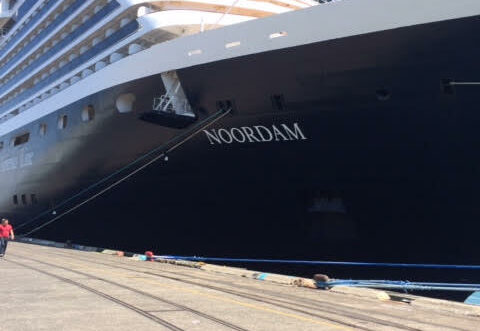 Boring, Normal and Predictable Are Not Part of Fibrenew's Vernacular